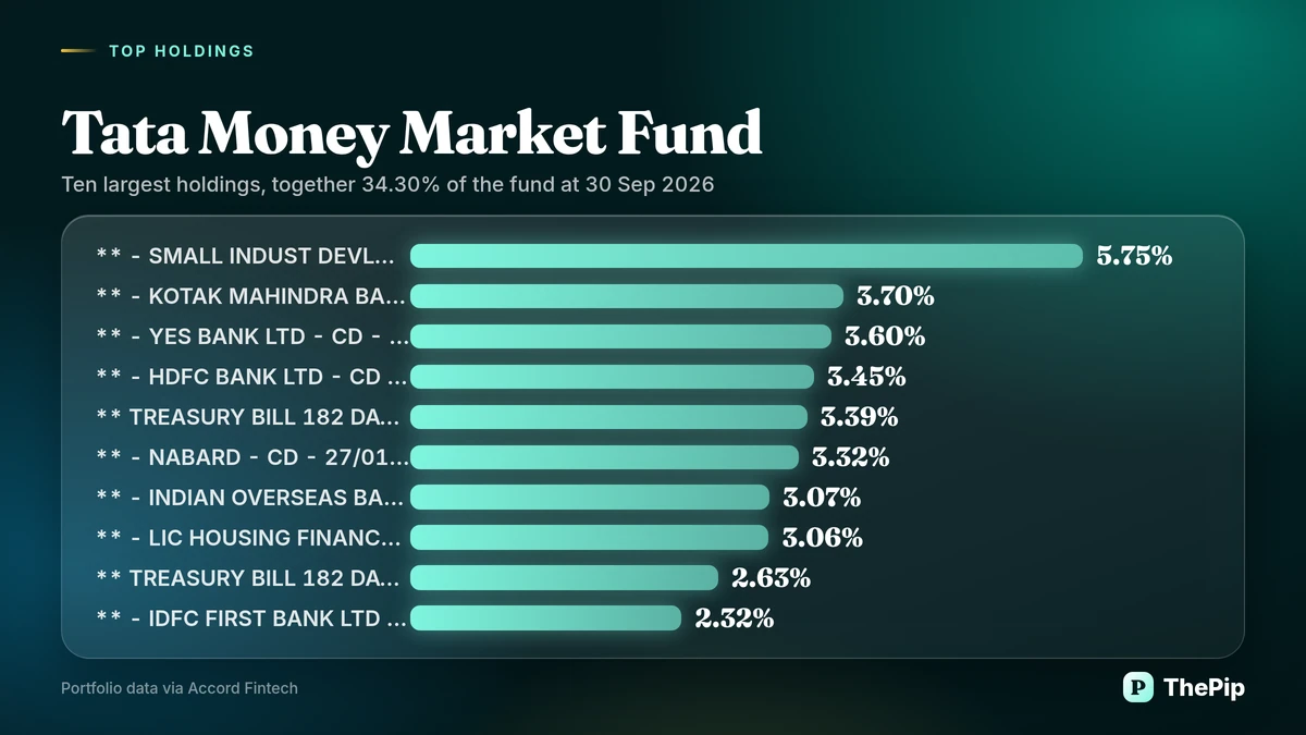 Tata Money Market Fund: ten largest holdings
